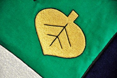 Close-up of the embroidery