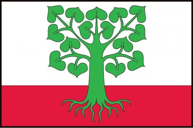 The flag of Klokočov