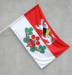 Outdoor flag of Rynoltice