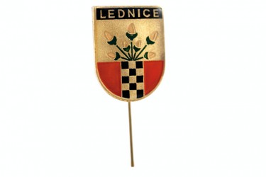 Lapel pins for villages, towns and townships