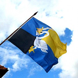 Town flag flying on an outdoor flagpole