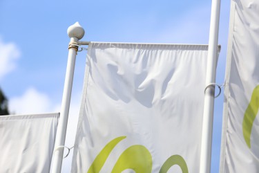 Close-up on a flagpole finial