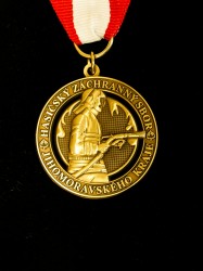 Close-up of the award