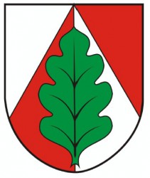 A draft of a coat of arms for Panské Dubenky